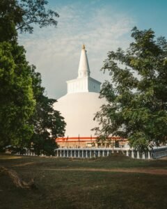 andrea-zanenga-U2-9JKq3Sv8-unsplash