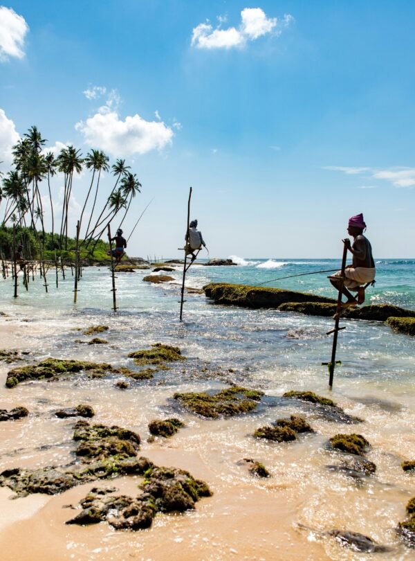 Snorkeling at Pigeon Island near Trincomalee during a private tour with SriLankaDriversAndGuide