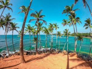 dinuka-lankaloka-iduEaeBB_rQ-unsplash