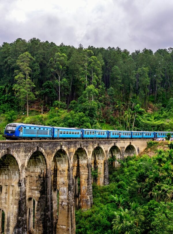 Scenic view of Nine Arches Bridge in Ella during a private guided tour with SriLankaDriversAndGuide